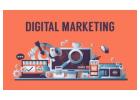 Job-Oriented SEO Training in Nabha: Learn Skills That Get You Hired