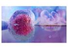 RituIVF – Leading Fertility Clinic in Jaipur