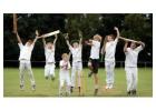 cricket balls