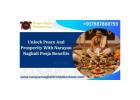 Unlock Peace And Prosperity With Narayan Nagbali Pooja Benefits