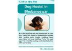 Dog Hostel in Bhubaneswar
