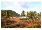 Plots for Sale in Goa