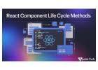 Everything You Need to Know About React Component Life Cycle