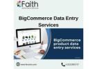 Reliable BigCommerce Product Entry Services