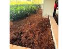 Expert Irrigation Consulting – Schedule a Call Now!
