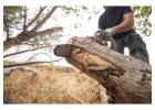 Stump Grinding Clark County Affordable Outdoor Care Solutions