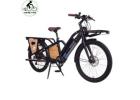  Renting Bikes on the Beltline Offering Affordable and Eco Friendly Options
