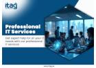 Professional Consulting Services for Businesses Seeking Expert IT Solutions