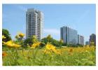 Buy 3BHK Homes at Sobha Hoskote, Hoskote