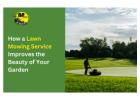 Looking for a Lawn Mowing Services