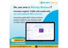 Experienced SEO Company Ahmedabad Helping Brands Scale Online