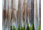 Find the Best Siding That Looks Like Logs for Your Home