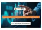 Grow Online with Converthink – Best SEO Company Bhubaneswar
