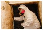 Certified Mold Testing Services in Aston