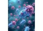 Understanding Autoimmune Diseases