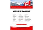 HIRING IN CANADA NOW!
