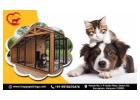 Home Base Pet Boarding | Dog Care in Gurgaon-Happy Pettings