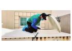 Protect Your Home with Professional Ant Pest Control Services 