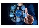 Chicago SEO Company | Site It Now