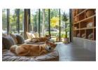 Dog Hostel In Delhi