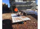 Professional Handyman in Essendon