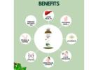 Buy Punarnava Makoy Juice Online in India | Sampuran Swadeshi