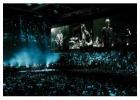 Find Live Music in San Antonio