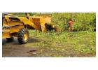 Lot Clearing Companies near Me | Storm Cleanup & 24/7 Service