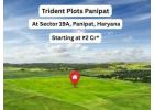 Trident Plots Sector 19A Panipat Residential Land
