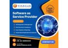 Software as Service Provider | Banking as a Service Provider