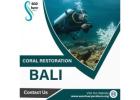 Coral Restoration bali