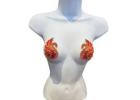 Best Breast Pasties for Comfort