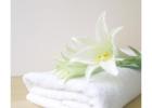 Buy Cam Border Bath Towel – Soft & Durable Hotel Towels