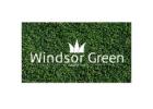 Choose the Windsor Green Couch Turf – Durable Lawn for All Seasons