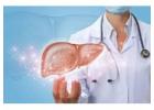 Expert Liver Specialist Doctor in Ludhiana for Treatment  