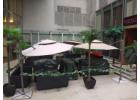 Patio Furniture Retailer