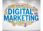 Enroll in Digital Marketing Course in Jalandhar Today