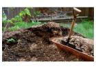 Care for Your Plants with Top Garden Supplies in Adelaide