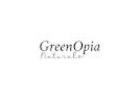 Gentle Cleansing Green Tea Face Wash 100 ML – Freshness in Every Wash