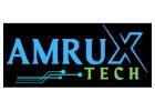 Leading IT Consulting California Firm – Amrux Tech
