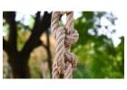 Discover Premium ProManila Rope: Strong & Durable Rope Options