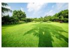 Transform Your Yard Today – Expert Lawn Care in Ohio!