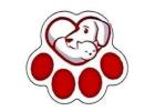Veterinary Care in North Las Vegas – Trusted & Compassionate