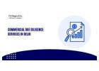 Professional Commercial Due Diligence Services in Delhi – Trusted Experts