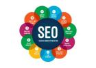 Local Seo Services In Delhi