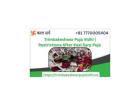 Trimbakeshwar Puja Vidhi |  Restrictions After Kaal Sarp Puja 