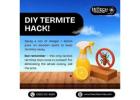 DIY Termite Hack