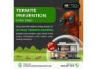 Stop Termites at the Source