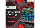 Need Affordable Structured Cabling in Dubai Solutions?