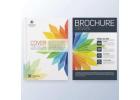 Affordable Brochure Printing in London – Get a Free Consultation Now!